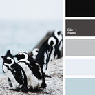 Penguin Frost, Sweater/FT Knit Palette Bundle. CM - MPSWTR - 07 - Boho Fabrics - Fabric Bundles